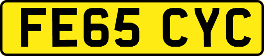 FE65CYC
