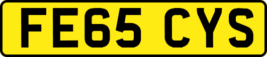 FE65CYS
