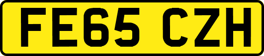 FE65CZH