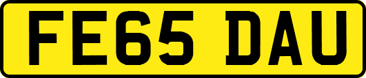 FE65DAU