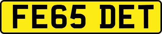 FE65DET