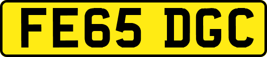FE65DGC