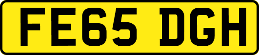 FE65DGH