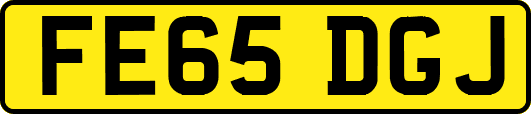FE65DGJ