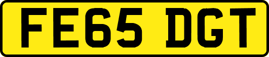 FE65DGT