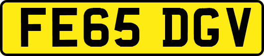 FE65DGV