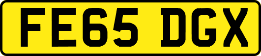 FE65DGX