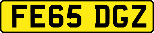 FE65DGZ
