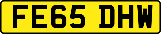FE65DHW