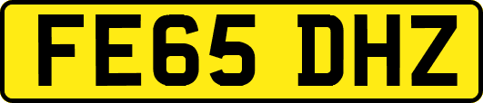FE65DHZ