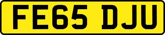 FE65DJU