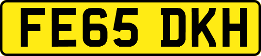 FE65DKH