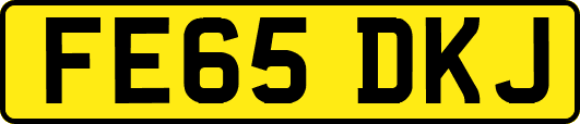 FE65DKJ