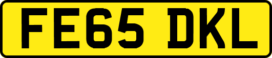 FE65DKL
