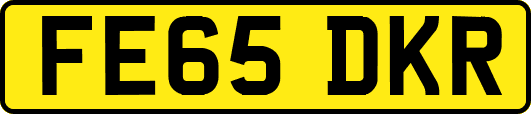 FE65DKR