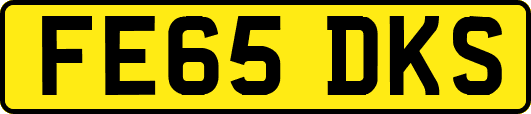 FE65DKS