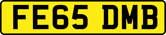 FE65DMB