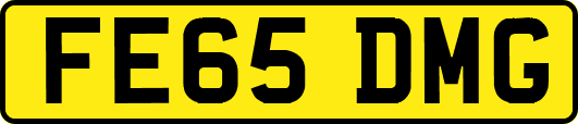 FE65DMG