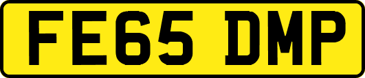 FE65DMP