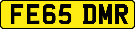 FE65DMR