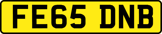 FE65DNB