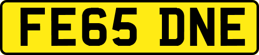 FE65DNE