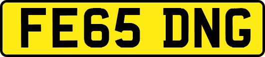 FE65DNG