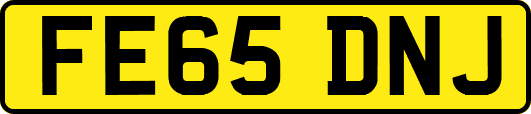 FE65DNJ
