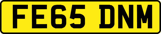 FE65DNM