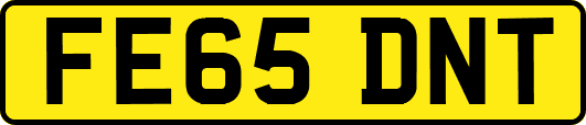 FE65DNT