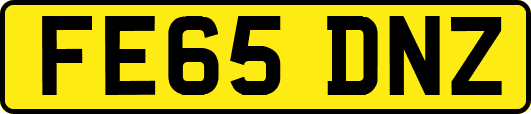 FE65DNZ