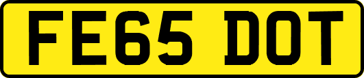 FE65DOT