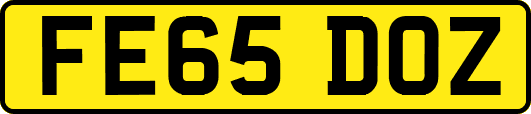 FE65DOZ