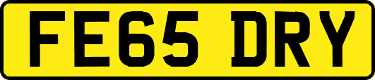 FE65DRY