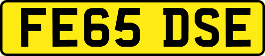 FE65DSE