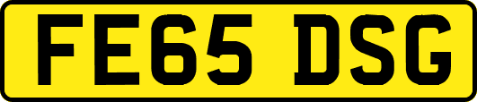 FE65DSG
