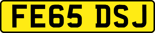 FE65DSJ