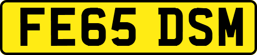 FE65DSM
