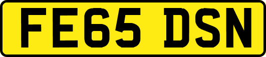 FE65DSN