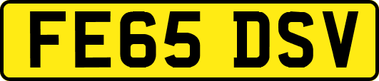 FE65DSV