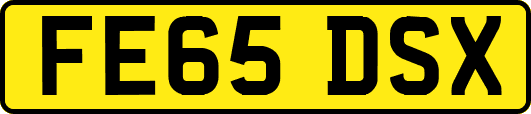 FE65DSX