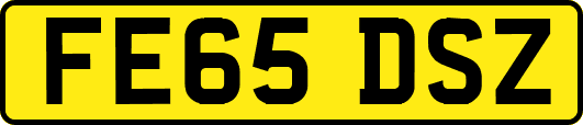 FE65DSZ