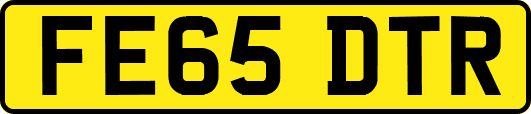 FE65DTR
