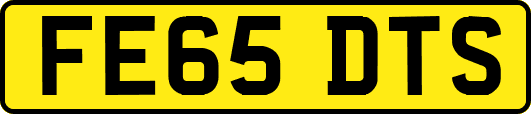 FE65DTS