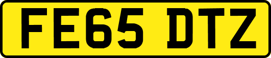 FE65DTZ