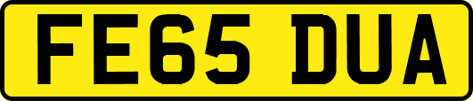 FE65DUA