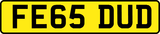 FE65DUD