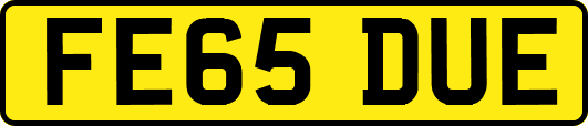 FE65DUE