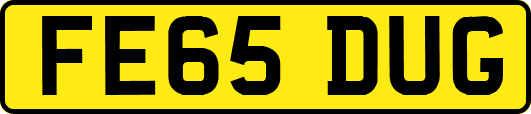 FE65DUG