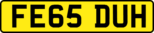 FE65DUH